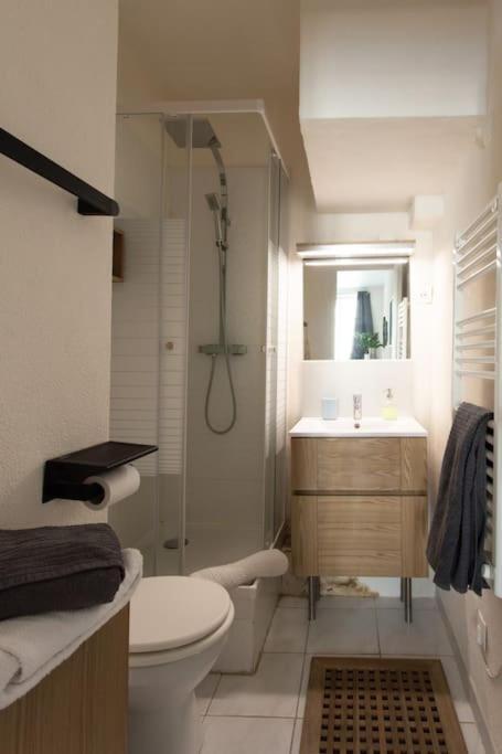 Marechal Jean Medecin Hyper Centre Apartment